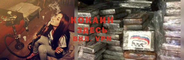 mix Ельня