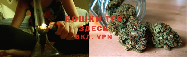 сатива Пролетарск