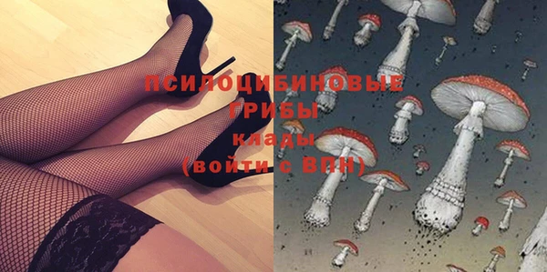mix Ельня